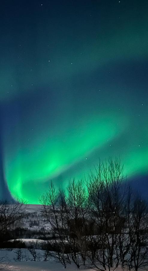 Tromsdalen Aurora Tromsø