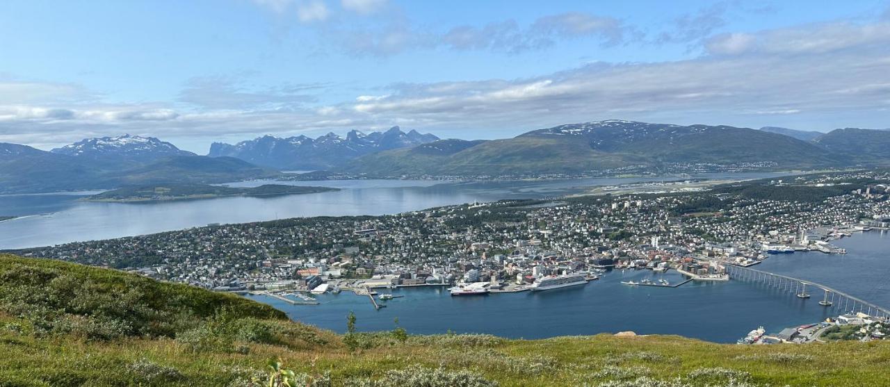 Tromsdalen Aurora